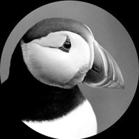 Birds of the World (@mybirdcards) 's Twitter Profile