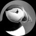 Birds of the World (@mybirdcards) Twitter profile photo Birds of the World (@mybirdcards) Twitter profile photo