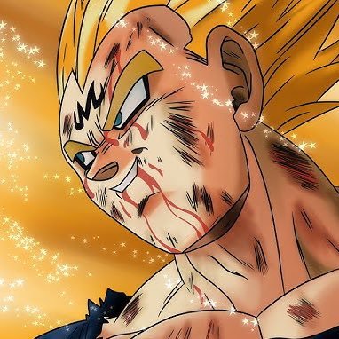 MAJIN VEGETA Profile