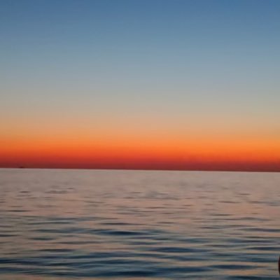 H79336's profile picture. 