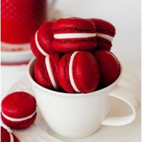 𝐃𝐚𝐫𝐛𝐥𝐞𝐬 𝕏 (@darblesx9934) 's Twitter Profile