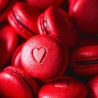 All Things Defi (@defi_all61381) 's Twitter Profile