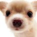 Boonie (@boooniie) Twitter profile photo Boonie (@boooniie) Twitter profile photo