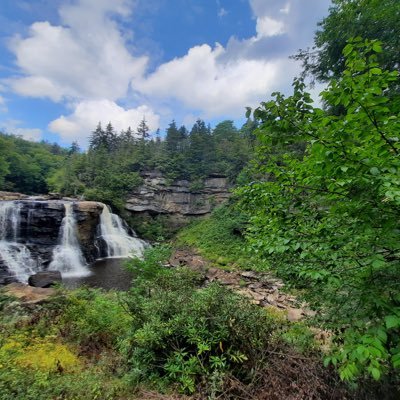 PandeMarie's profile picture. spqr