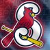 Springfield Cardinals (@delcocardinals) Twitter profile photo Springfield Cardinals (@delcocardinals) Twitter profile photo