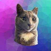 TeleportToZero (@zero_to97488) 's Twitter Profile