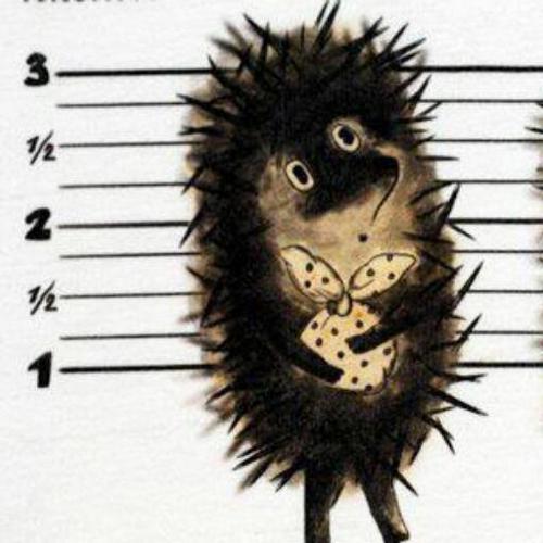 km444ka's profile picture. Дерзкий,но не НохЧи!