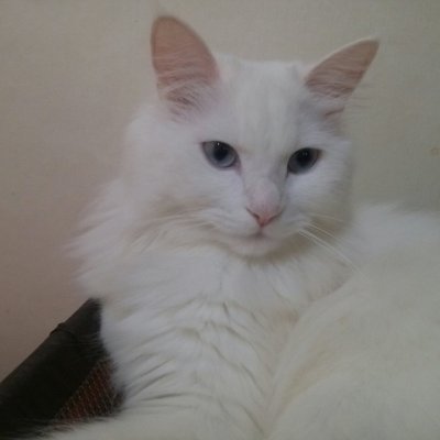저는 새미래민주당원입니다.
새미래민주당이 진정한 민주당입니다.
오직 우리 여니총리님만 끝까지 응원하고 지지하고
존경하고 사랑합니다.
여니총리님 언제나 건강 잘 챙기시고 힘내세요. 화이팅!!!