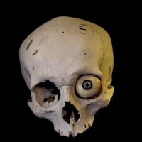Thingshappen (@brownbonesx) 's Twitter Profile
