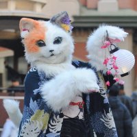 みんころもち (@pkg_minco) 's Twitter Profile Photo