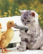 Dreamchick321's profile picture. 