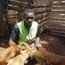 Samuel dogs rescue (@kijjomoo) Twitter profile photo Samuel dogs rescue (@kijjomoo) Twitter profile photo