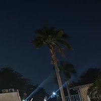 π² | Haifu.fun | EmoFi | Nitrograph | 🌶️ (@memecoinhu28602) 's Twitter Profile Photo