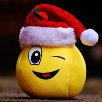 bistu maji (@bistum) 's Twitter Profile