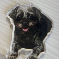 み (@mimimitouuu) 's Twitter Profile