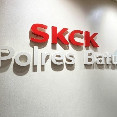 SkckBatu's profile picture. 