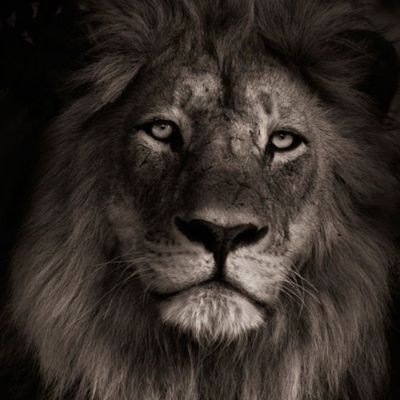 SNAKEeye7991's profile picture. 🇵🇰 FACTA NON VERBA🇵🇰

      ⚔️ BRASSTACKS⚔️