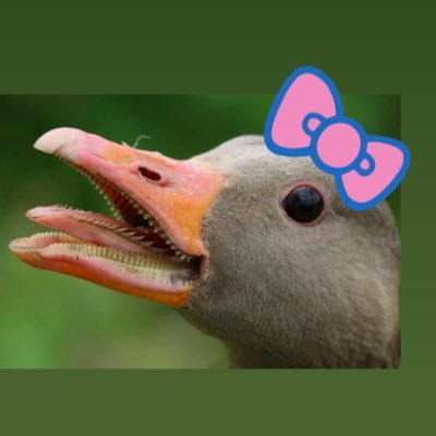 real life sucks losers dry, wanna fuck with the geese? you better learn to fly. world’s worst hottie 💋 & manic pixie dream goose