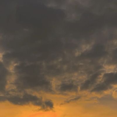 PriyaDhars29324's profile picture. 