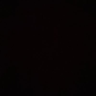 l3ryboo's profile picture. 