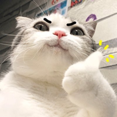 me158420's profile picture. 。。。