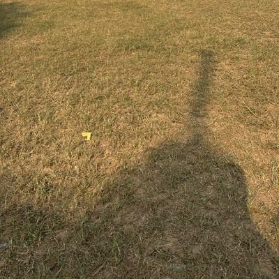 Devendrarai1910's profile picture. 