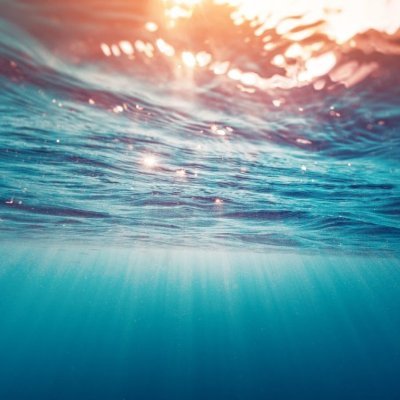 gracekjelli's profile picture. Rideo ergo sum.