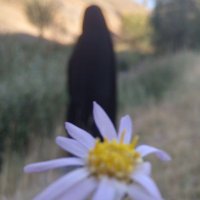 بامرام (@rft_m17969) 's Twitter Profile