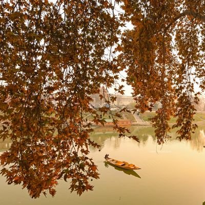 Aniq2225's profile picture. 💫