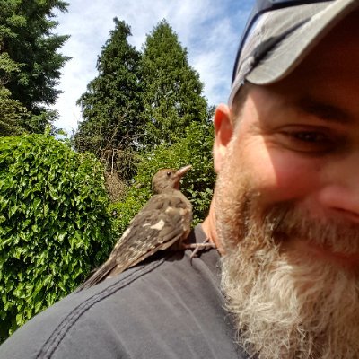 MarkusTheJames's profile picture. numquam queraris numquam explices