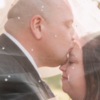 Danielle H (@dani_bowden) 's Twitter Profile