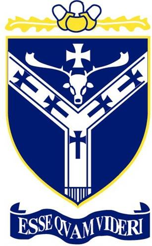 TechForest's profile picture. 
