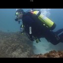 Don Paterson - @dp100 - Twitter