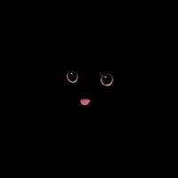 nobody (@0o0_nobody) 's Twitter Profile Photo