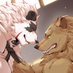 MoCheng and Talon (@mchng8619291) Twitter profile photo MoCheng and Talon (@mchng8619291) Twitter profile photo