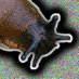 slug thing ? 🐌 (@noiseslug) Twitter profile photo slug thing ? 🐌 (@noiseslug) Twitter profile photo