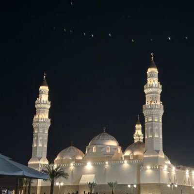 AlhweryY80496's profile picture. 