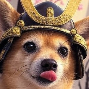 既婚のクソリプおじさん。基本的に、可愛い女の子・セクシー美女の自撮りをリツイートするか、そのリプ欄でチン騎士してます。