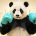 スケルトン山田 (@kb72vn) Twitter profile photo スケルトン山田 (@kb72vn) Twitter profile photo