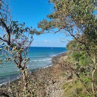 imdominica's profile picture. 