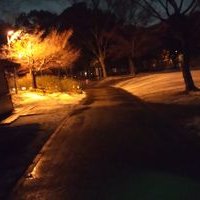 サト (@mvpynbebta90757) 's Twitter Profile