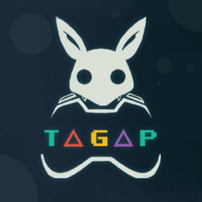 Transilvania Association for Gaming & Artistic Projects - TAGAP