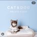 coco🧡 (@coco1211catdog) Twitter profile photo coco🧡 (@coco1211catdog) Twitter profile photo