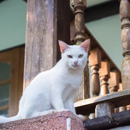 TprDrgAk0L69034's profile picture. 