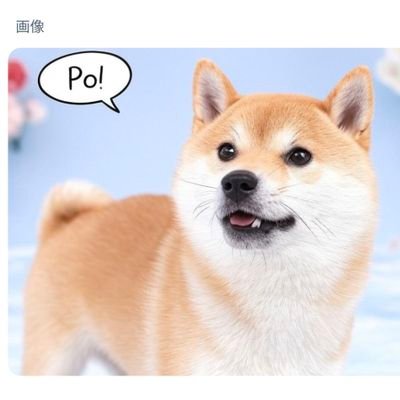pochiyama_san's profile picture. ハロプロとかゲームとか