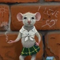esmer bimbo (@esmerbimbo) 's Twitter Profile