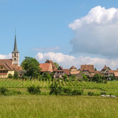 ChGrat24's profile picture. 