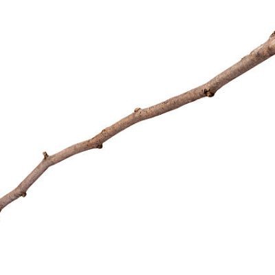 Niceguy6938v2's profile picture. Add me on fortnite DS_Jaesik29 and overwatch Jaesik29#3101
Rec room username Niceguy6978
half Korean🇰🇷 half Filipino🇵🇭
A Branch that has fallen from a tree