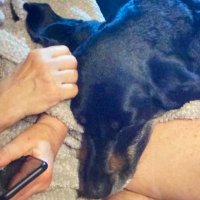 Zwykła Elżbieta (@elamamaani) 's Twitter Profile Photo