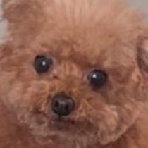 m974581672's profile picture. 